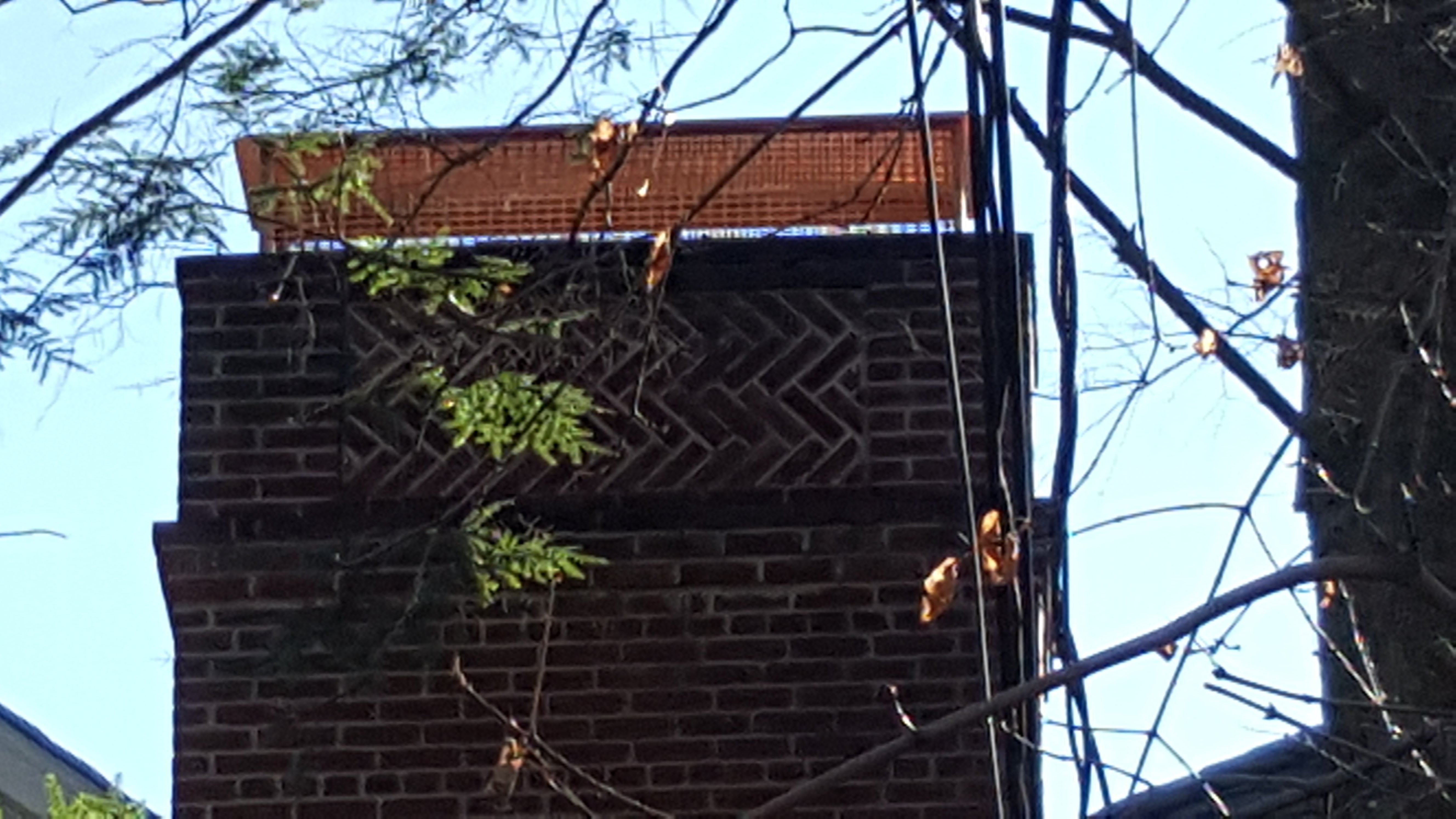 Animal-proof chimney cap protecting home in Uniondale, New York